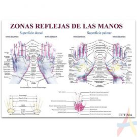 Zonas reflejas de las manos