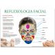 Reflexología facial