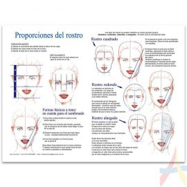 Proporciones del rostro